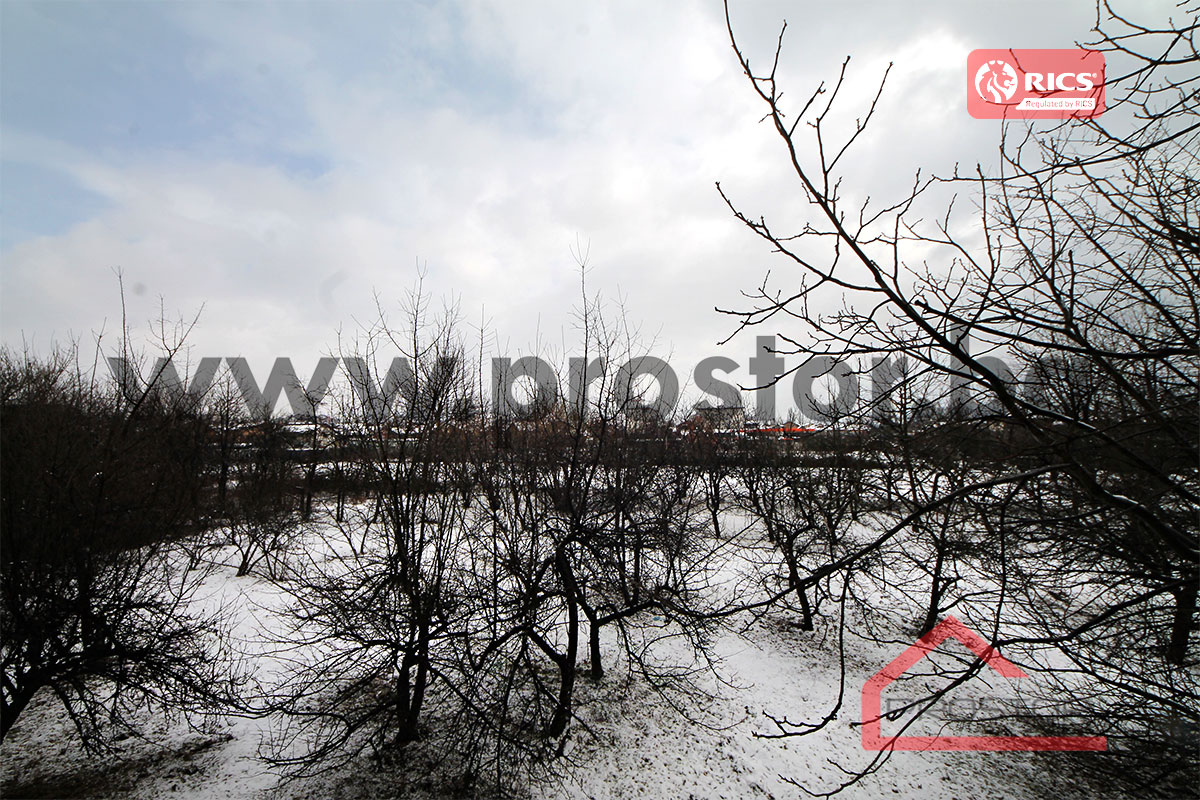 13 pogled