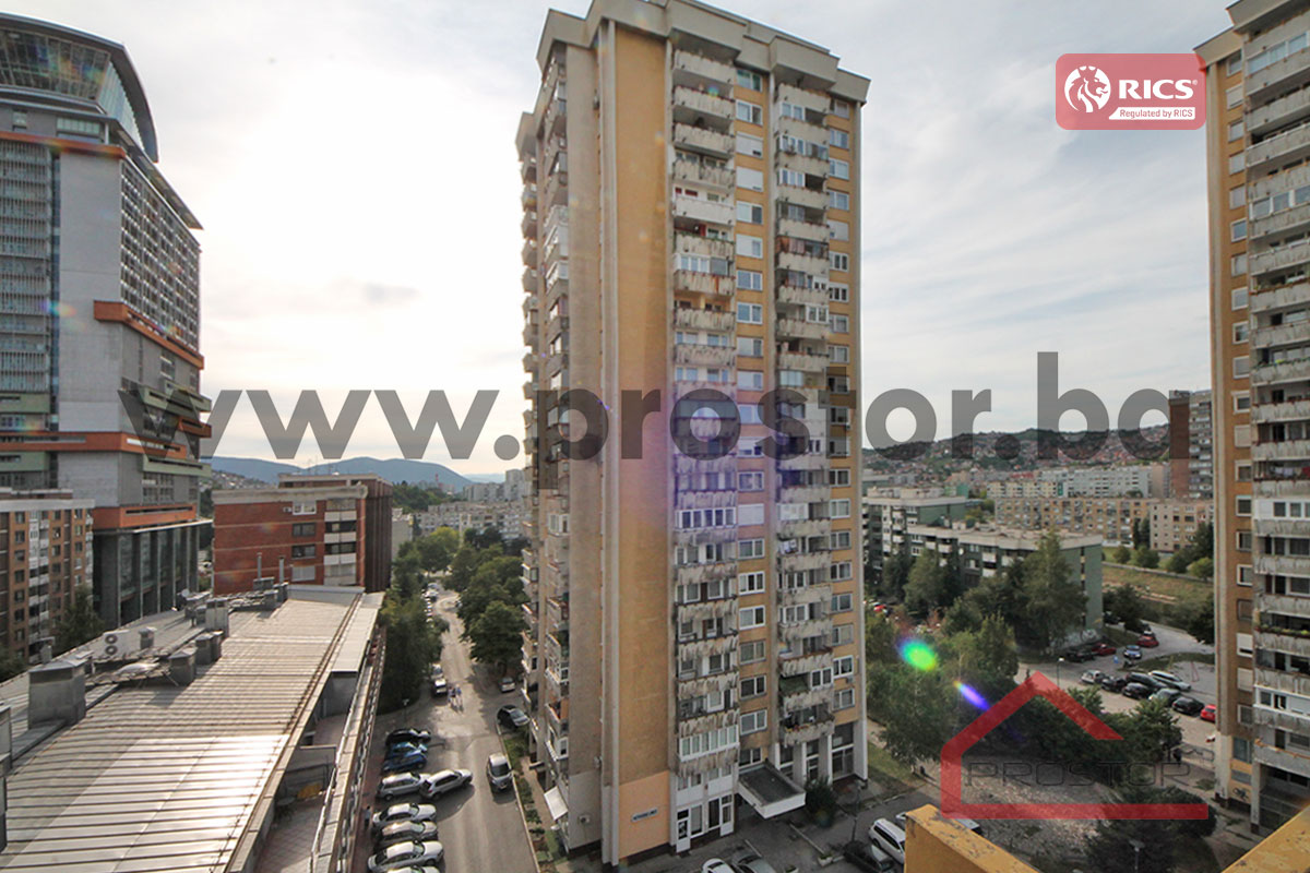 11 Pogled