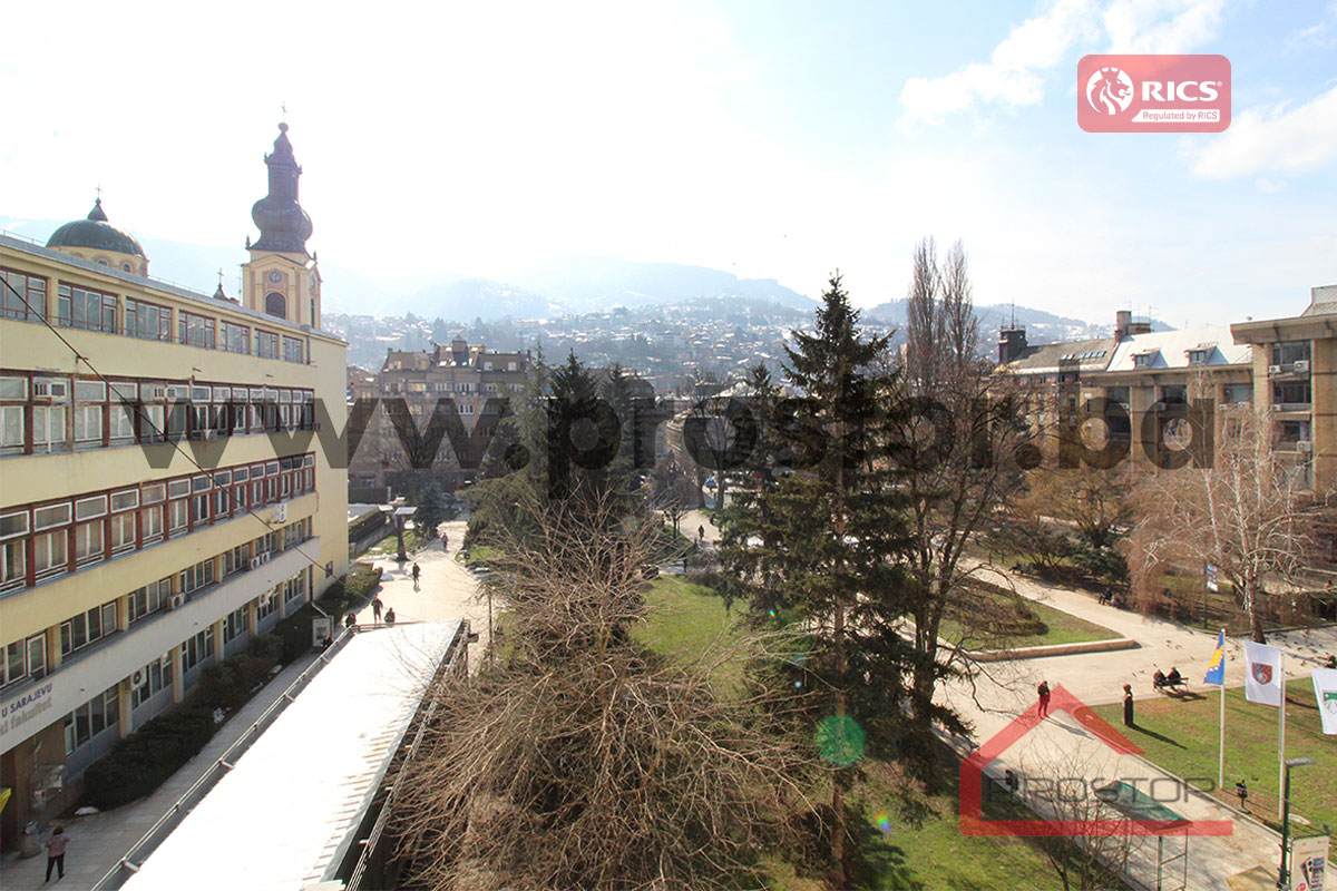 16 Pogled