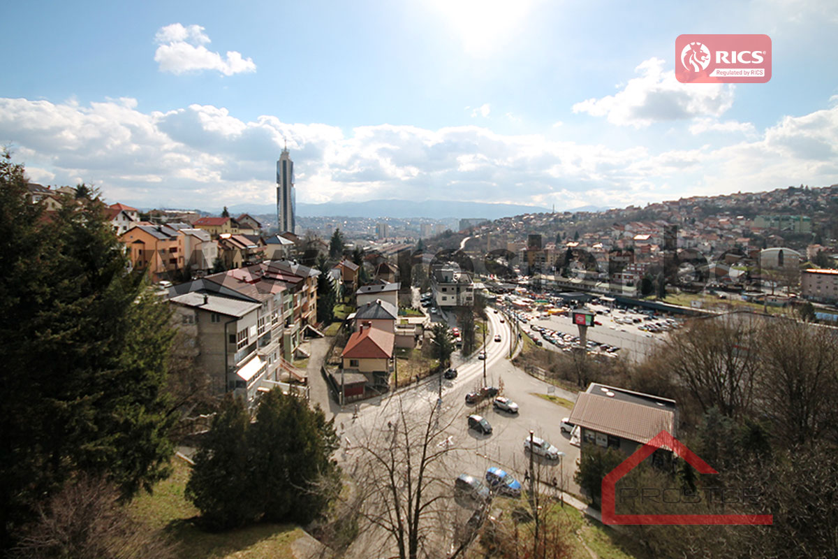 15 Pogled
