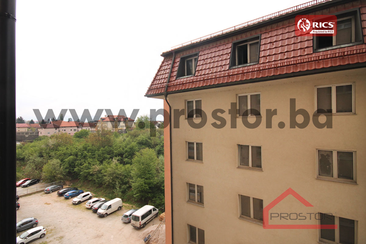 12 Pogled