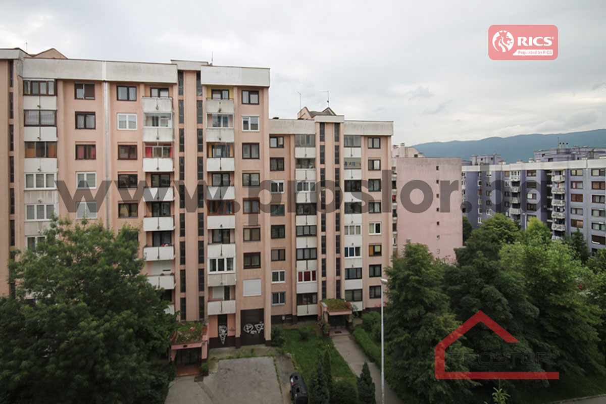 12 Pogled