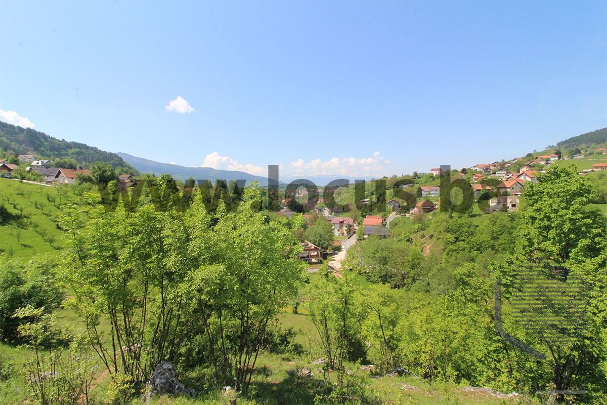 17 Pogled