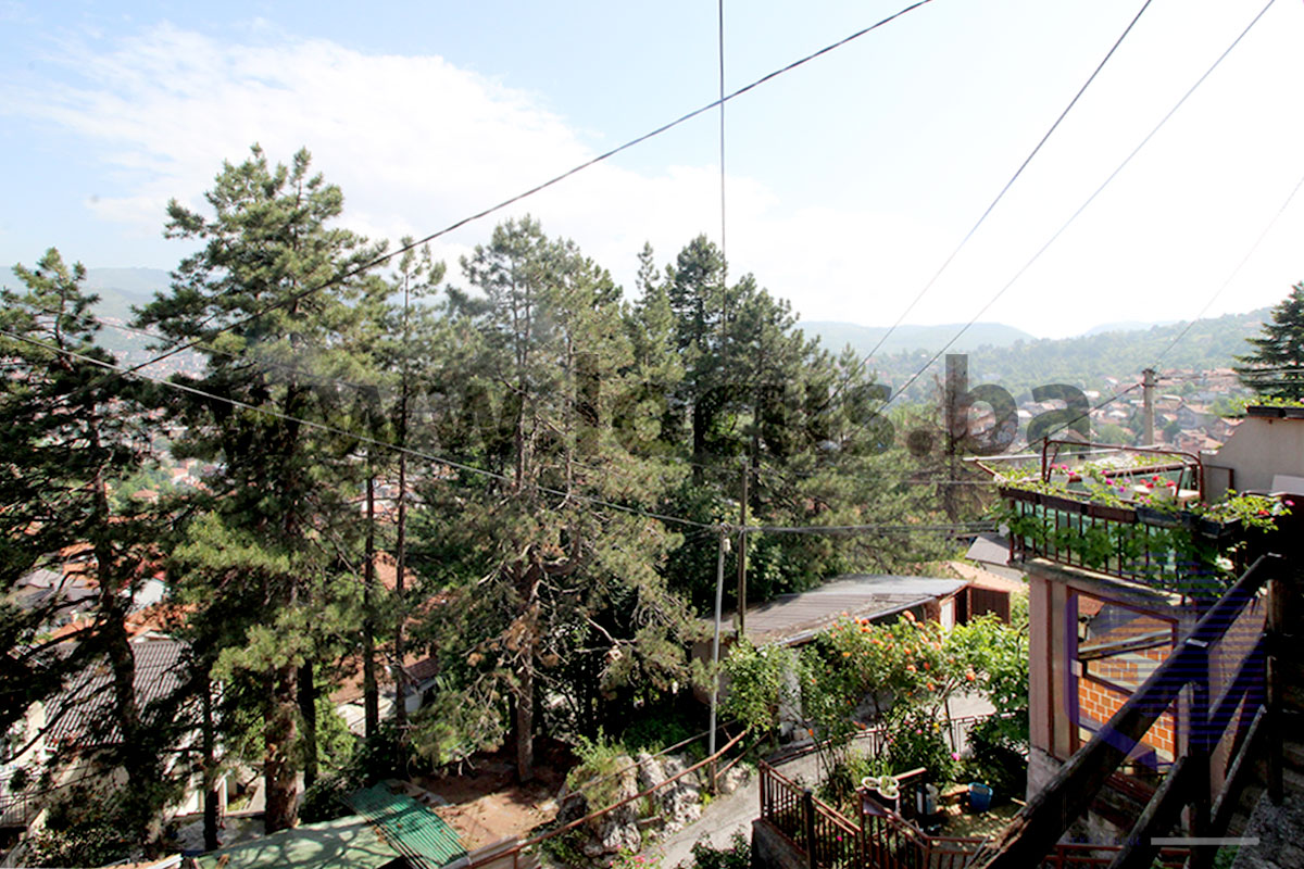 12_ Pogled