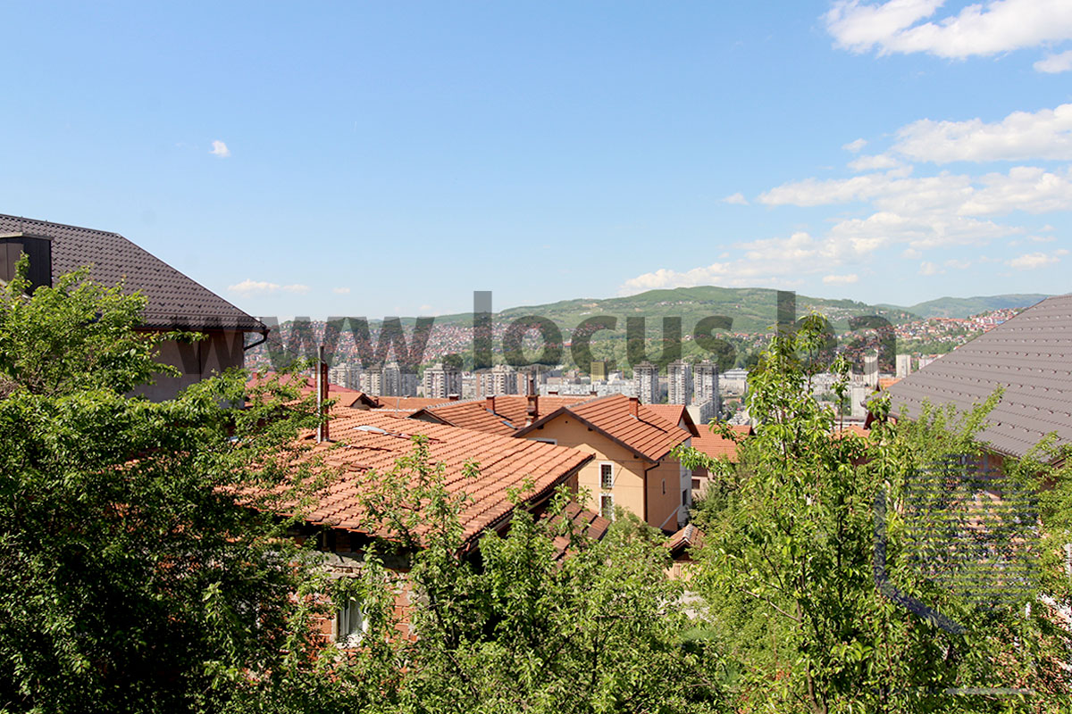 14 Pogled