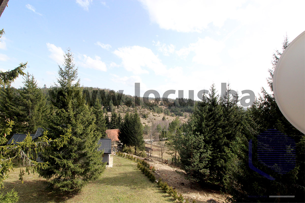 20 Pogled