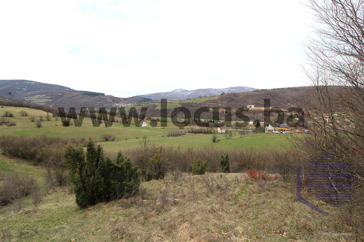 16 Pogled