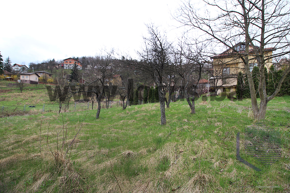 25 Dvorište
