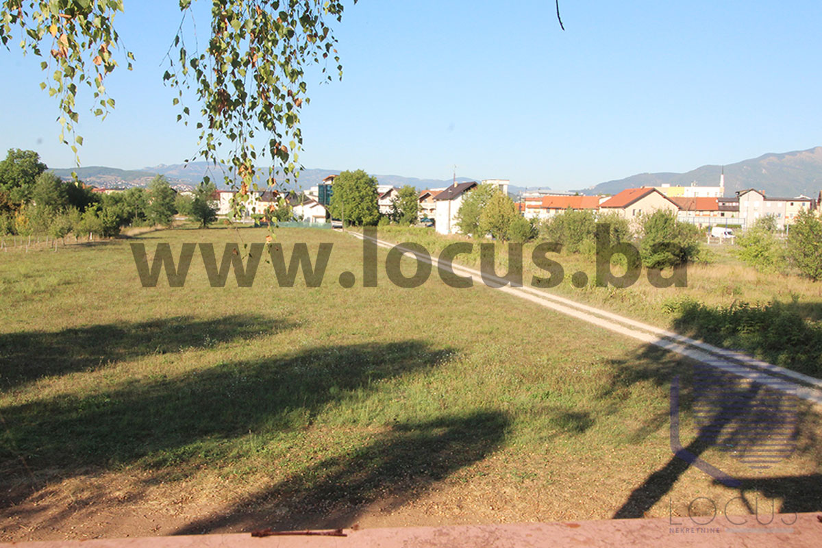 13-Pogled