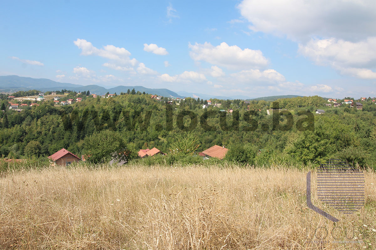 5_ Parcela
