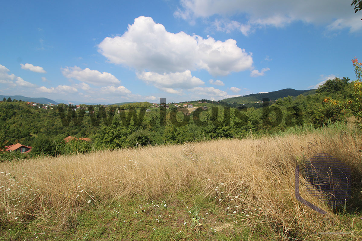 6_ Parcela