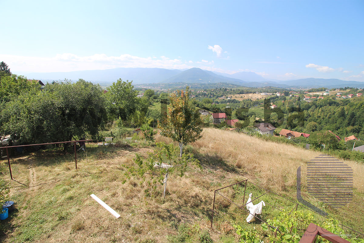 14_ Pogled