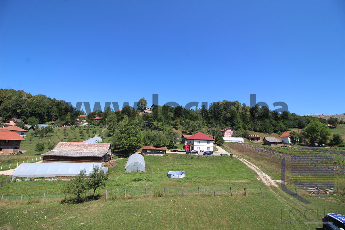 12_ Pogled