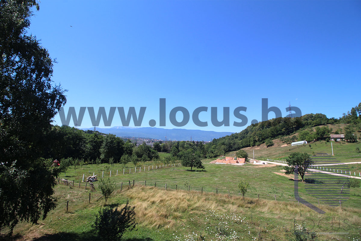 11_ Pogled
