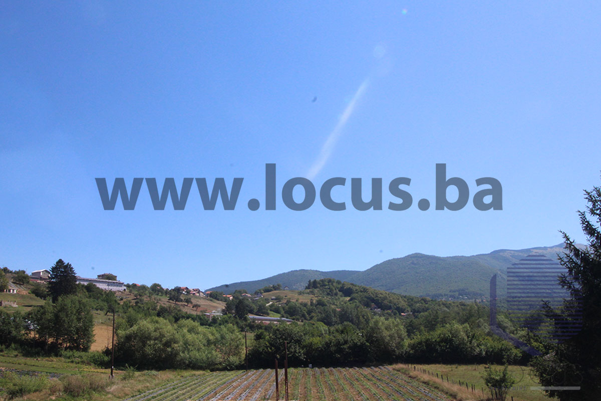 13_ Pogled