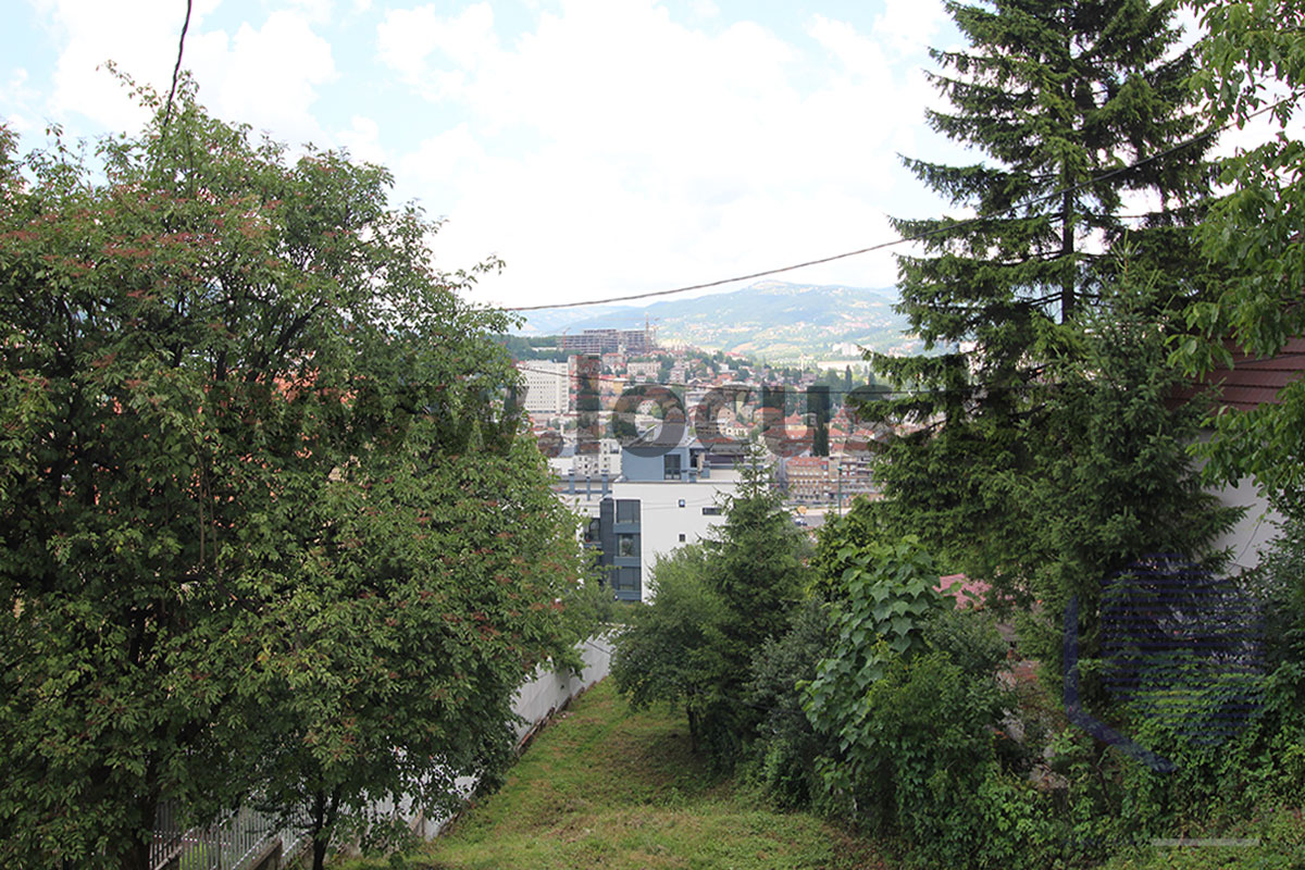 5_ Pogled