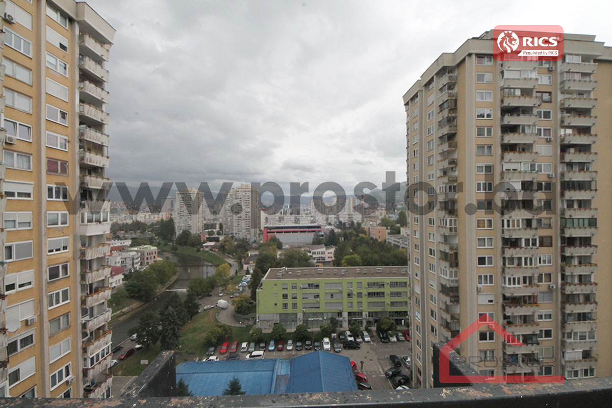 12 Pogled