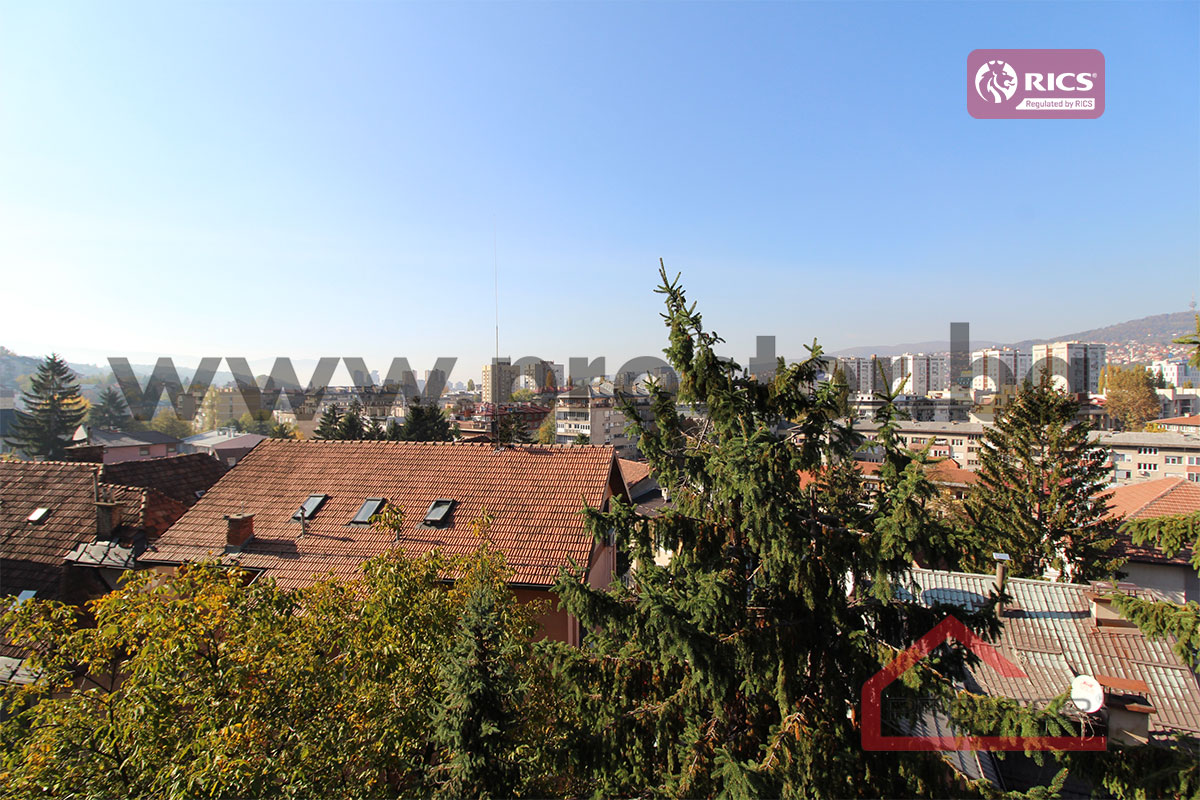 15 Pogled