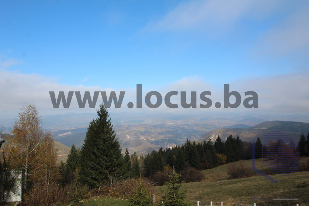 14_ Pogled