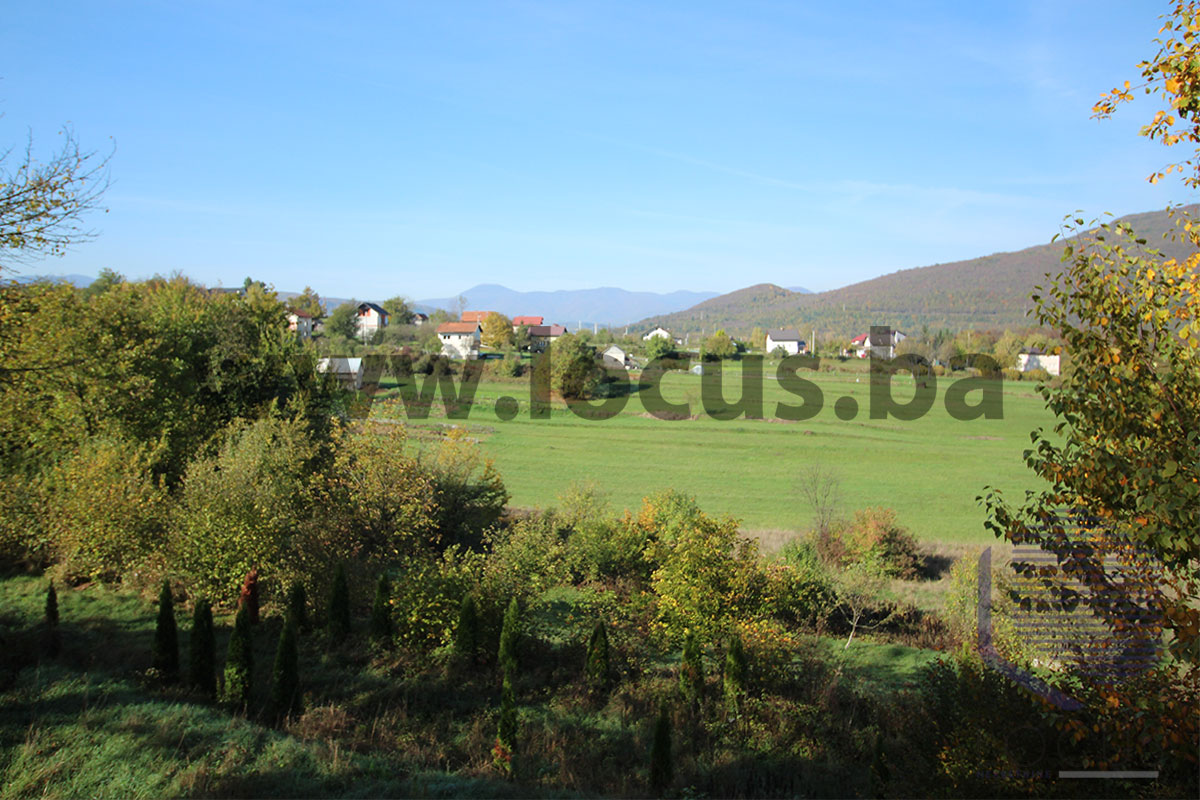 16_ Pogled