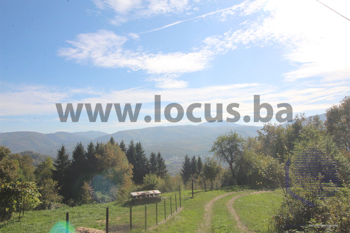 9_-pogled