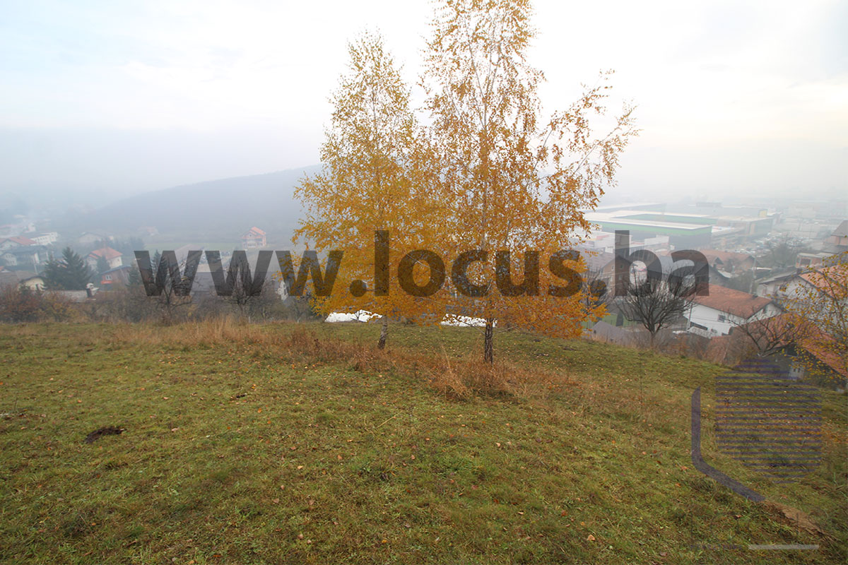 16_ Parcela