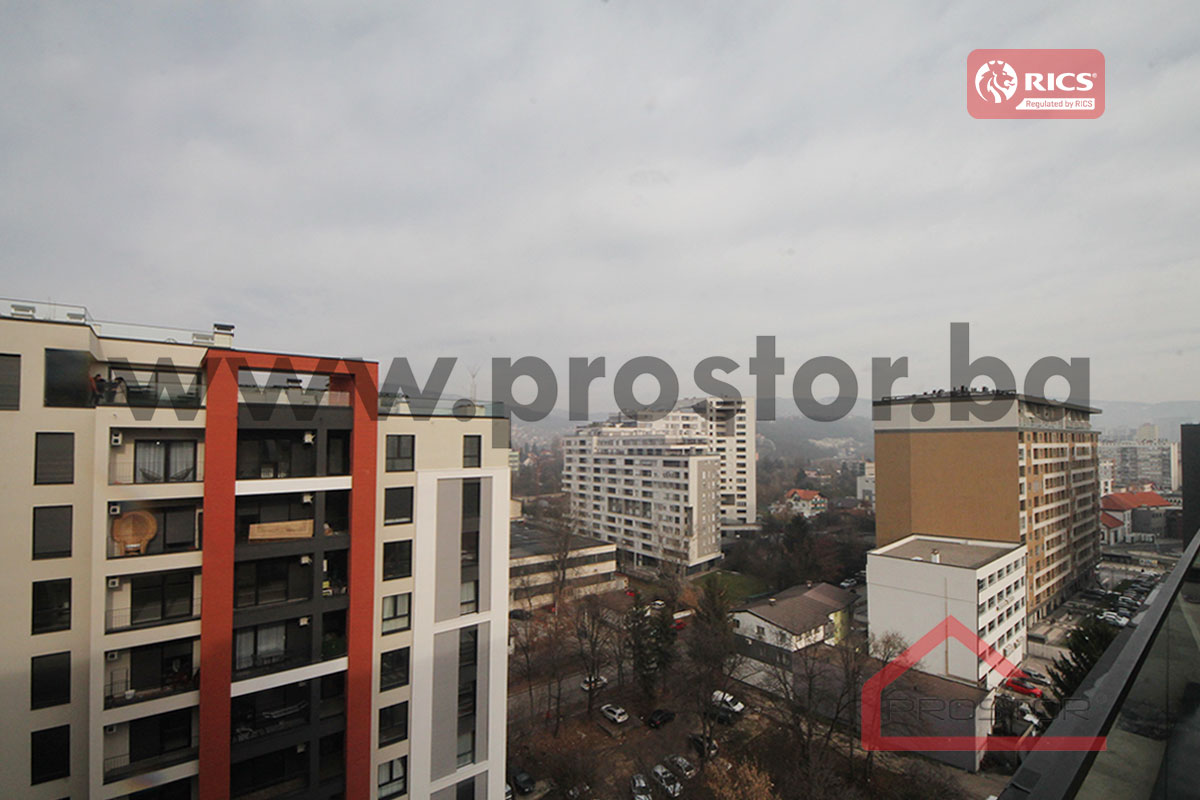 12 Pogled