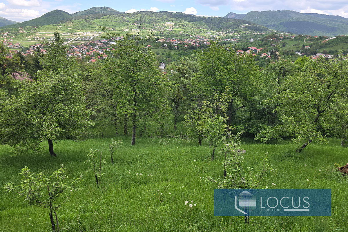 16_ Pogled