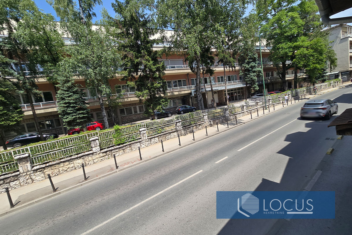 17_ Pogled