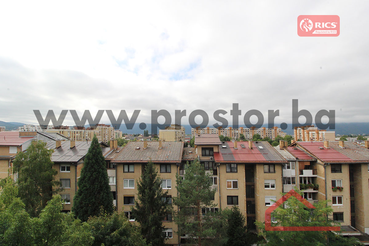 11 Pogled