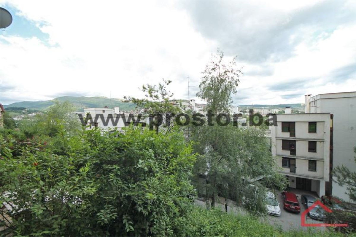 Pogled