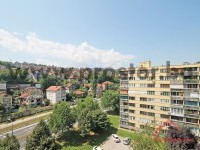 13 Pogled
