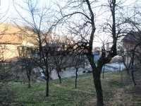 11 Dvorište