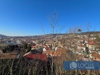 12_ Pogled
