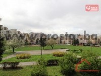 12 Pogled