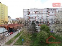 11 Pogled