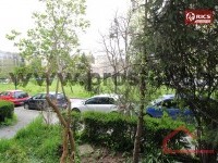 13 Pogled