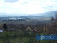 16_ Pogled