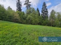8_ Parcela