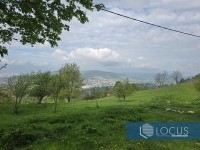 14_ Pogled