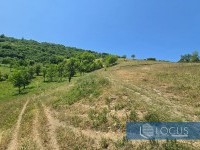 2_ Prilaz