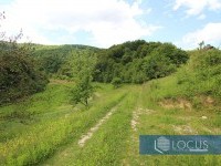 5_ Parcela