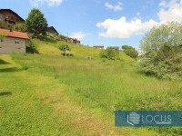 3_ Parcela