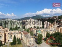 1 Pogled