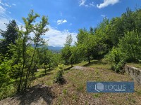 15_ Parcela