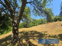 15_ Parcela