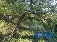 15 Dvorište